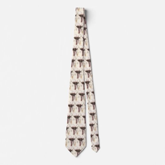 アンブレライカヴィンテージ海洋生物 ネクタイ (正面)