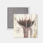 アンブレライカヴィンテージ海洋生物 マグネット (正面/裏面)