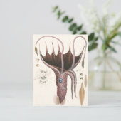 アンブレライカヴィンテージ海洋生物 招待状 (スタンド正面)