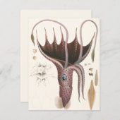 アンブレライカヴィンテージ海洋生物 招待状 (正面/裏面)