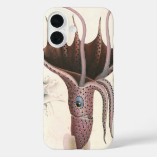 アンブレライカヴィンテージ海洋生物 iPhone 16ケース