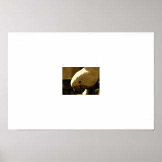 アンブレラコアカトオ ポスター