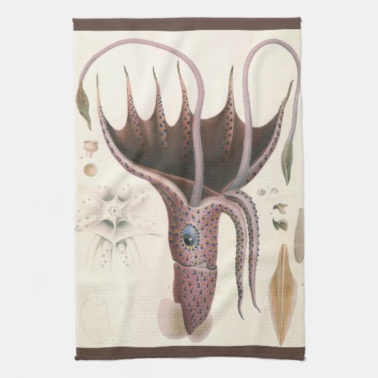 アンブレラスクイッド、ビンテージ海洋生物動物 キッチンタオル (縦)