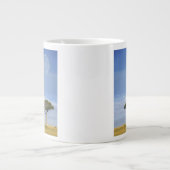 アンブレラソーンアカシア,アカシアのトルティーリス, and ジャンボコーヒーマグカップ (正面)