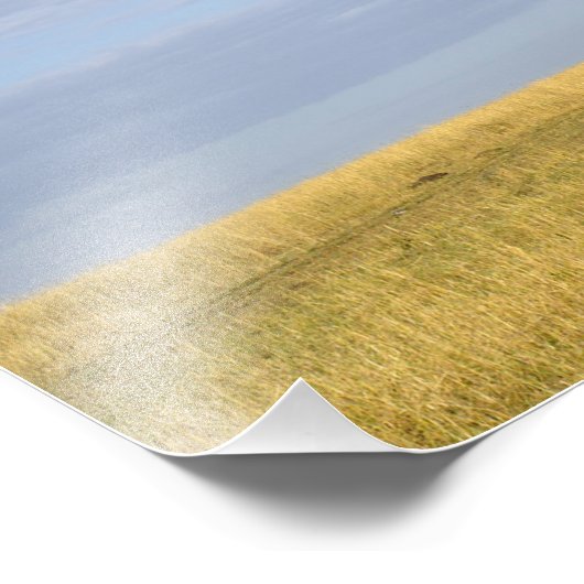 アンブレラソーンアカシア，アカシアのトルティーリス， and フォトプリント            (角)