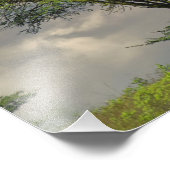 アンブレラソーンアカシア，アカシアのトルティーリス， and フォトプリント            (角)