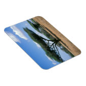 アンブレラソーンアカシア(アカシアのトルティーリス), Mkuze マグネット (右側)