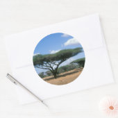 アンブレラソーンアカシア(アカシアのトルティーリス), Mkuze ラウンドシール (封筒)