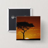 アンブレラ·ソーン·アカシア、アカシア·トルティリス 缶バッジ (正面&裏面)