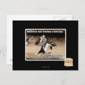 アンブローズは悪い日を過ごしていた ポストカード (正面/裏面)