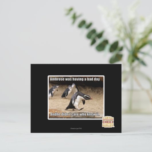 アンブローズは悪い日を過ごしていた ポストカード (スタンド正面)