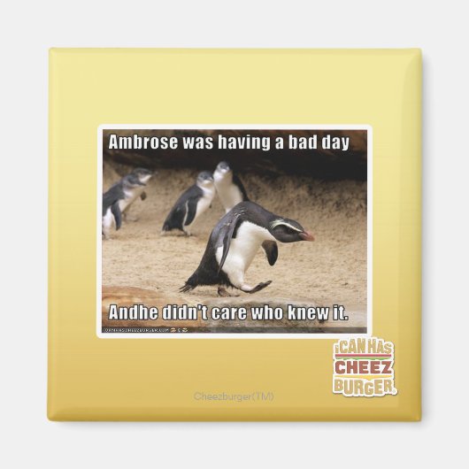 アンブローズは悪い日を過ごしていた マグネット (正面)