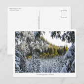 アンメルゴーアルペン ポストカード (正面/裏面)