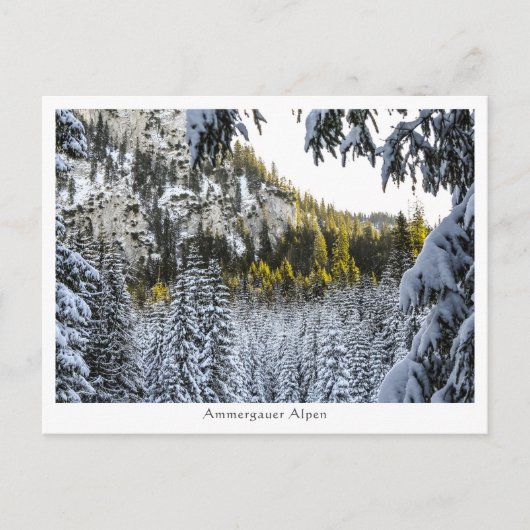アンメルゴーアルペン ポストカード (正面)