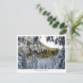 アンメルゴーアルペン ポストカード (スタンド正面)