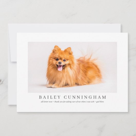アンモダンドナースシンプルフォトペット感謝してい獣 サンキューカード (正面)