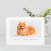 アンモダンドナースシンプルフォトペット感謝してい獣 サンキューカード (スタンド正面)