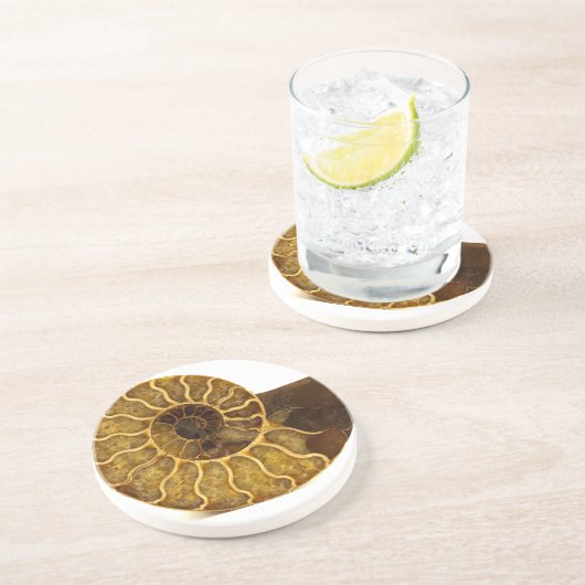 アンモナイトの化石 コースター (側面)