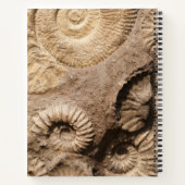 アンモナイトの貝殻と名前とモノグラム ノートブック (裏面)