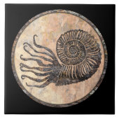 アンモナイト化石セラミックタイル タイル (正面)