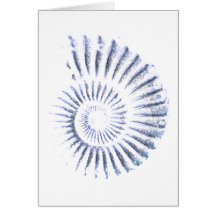 アンモナイト化石