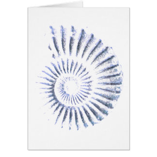 アンモナイト化石