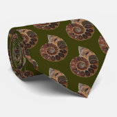 アンモナイト化石 ネクタイ (ロール)