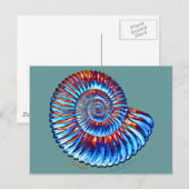 アンモナイト化石 ポストカード (正面/裏面)