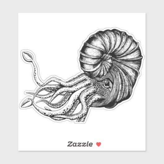 アンモナイト印 シール (シート)