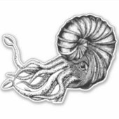 アンモナイト印 シール (正面)