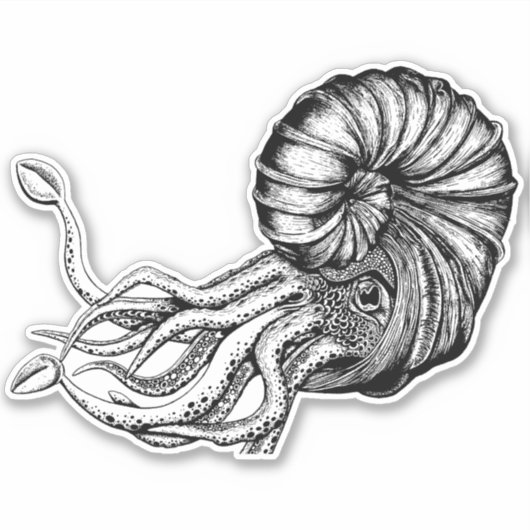 アンモナイト印 シール (正面)