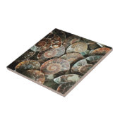 アンモナイト束 タイル (側面)