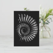 アンモナイト白の黒 シーズンカード (スタンド正面)