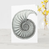 アンモナイト カード (黄色い花)