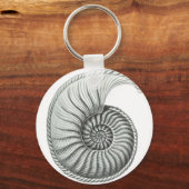 アンモナイト キーホルダー (正面)