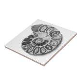 アンモナイト タイル (側面)