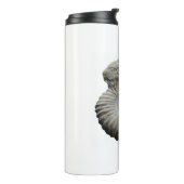 アンモナイト タンブラー (回転左)