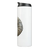 アンモナイト タンブラー (回転右)