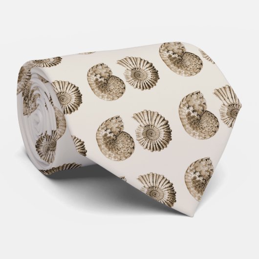 アンモナイト ネクタイ (ロール)
