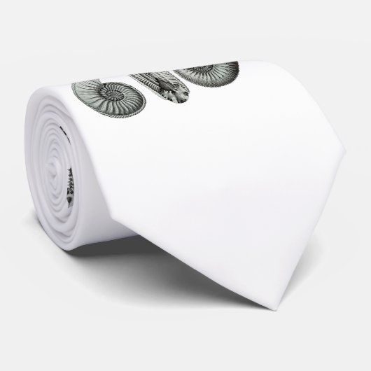 アンモナイト ネクタイ (ロール)