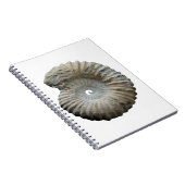 アンモナイト ノートブック (右側)