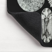 アンモナイト マウスパッド (コーナー)