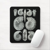 アンモナイト マウスパッド (マウス)