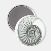 アンモナイト マグネット (正面/裏面)