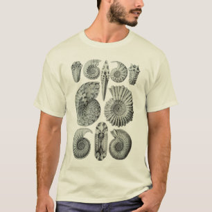 アンモナイト Tシャツ
