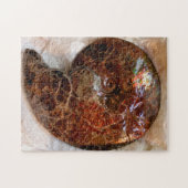 アンモライト ジグソーパズル (横)