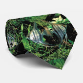 アンランフィッシュ2 ネクタイ (ロール)