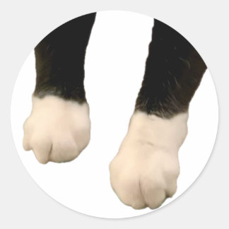 アンリのステッカー – 足! ラウンドシール