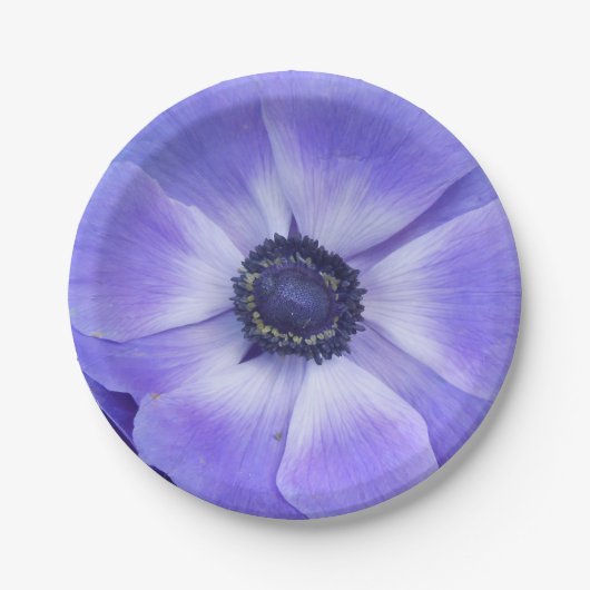 アンリエッタ ペーパープレート (正面)