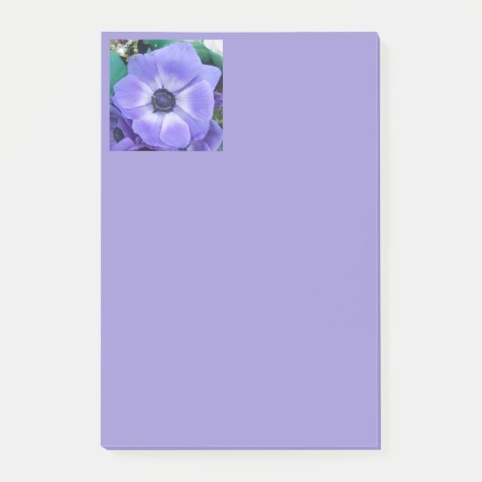 アンリエッタ ポストイット (正面)